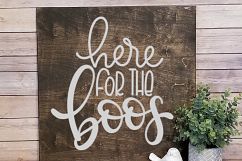 Here for the Boos Product Image 3