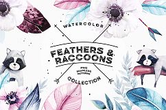 Watercolor Feathers &amp; Raccoons Product Image 1