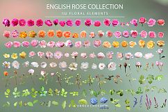 Isolated Rose Bundle  Product Image 4