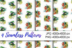 watercolor sun birds Product Image 4