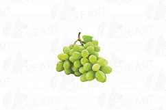 Grapes clip art watercolor wine grape, branch, flowers, leaf Product Image 21
