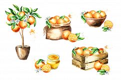 Natural Orange juice. Watercolor Product Image 5