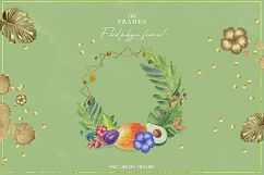 Tropical Watercolor Set Product Image 6