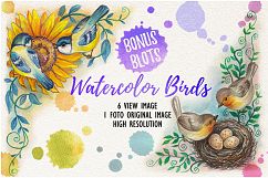 watercolor birds Product Image 1