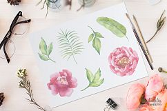 Watercolor Peonies set Product Image 2