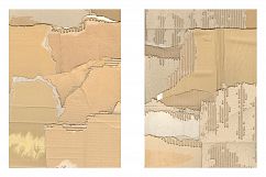 Worn &amp; Torn Cardboard Texture Vol. 1 Product Image 13