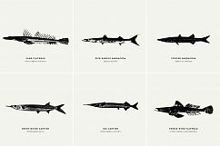 Premium Fishes Illustrations Product Image 9