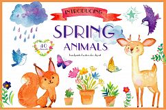 Spring animals. Deers, birds, bear, squirrel etc Product Image 1