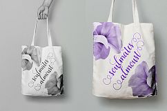 Angelina Script Product Image 5