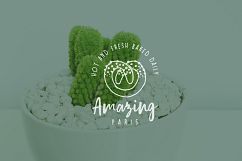 Feminine premade hand drawn logo 01 Product Image 8