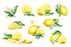 Fresh Lemon. Watercolor collection Product Image 3