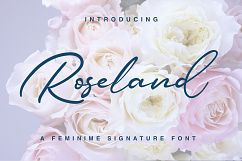 Roseland Product Image 1