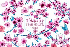 WATERCOLOR CHERRY BLOSSOMS Clipart Commercial Use Pink Wedding Flowers Petals Spring Flower Bouquets Sakura Floral Wreath Graphics Product Image 1