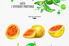Watercolor Fruits  Product Image 4