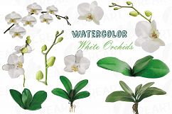 Watercolor white orchids clip art, Orchid leaves and flowers Product Image 1