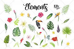 Watercolor Tropical Floral Clip Art Product Image 4