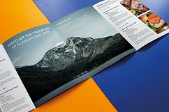 Product Mini Brochure Product Image 3