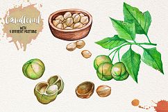 Watercolor Vegetables, Herbs, Green Product Image 10