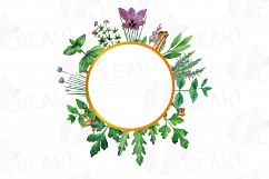 Herbs and Spices frames watercolor clip art pack, watercolor herb leaves borders. PNG, jpg, svg, vector illustrator &amp; corel files included Product Image 14
