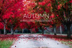 Autumn Lr Presets Product Image 1