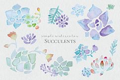 Watercolor Succulents Product Image 1