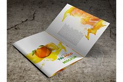 Large Trifold Brochure Mockup Product Image 4