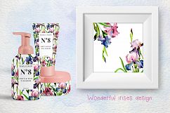 Tender Irises PNG watercolor set Product Image 2