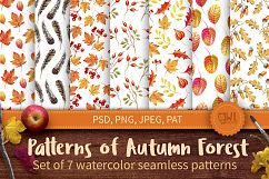 Autumn Watercolor Seamless Patterns Set Product Image 1
