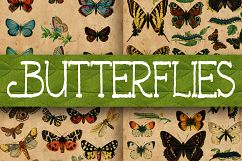 Vintage Butterfly Scientific Plates Digital Paper Product Image 1