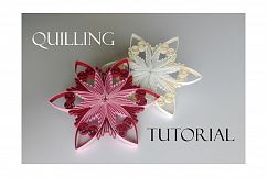 Quilling pattern &amp; step-by-step diagram guided tutorial  (QD13) Product Image 2