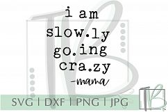 I Am Slowly Going Crazy SVG Product Image 2