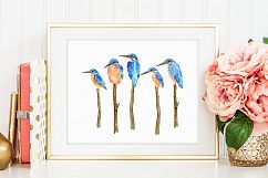 Bird Kingfisher Clipart, Watercolor Illustration  Product Image 4