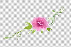 Delicate colorful peony PNG watercolor set Product Image 12