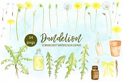 Watercolor Dandelion Clipart Product Image 3
