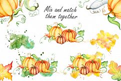 Thanksgiving pumpkins Fall watercolor Autumn clipart Product Image 7