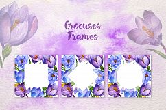 Blue and purple crocuses PNG watercolor set Product Image 8