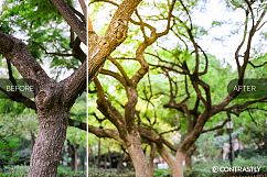 Solar Spots Lightroom Presets Product Image 4