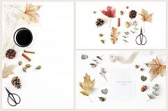 20 Charming autumn mockups &amp; stock photo bundle Product Image 5