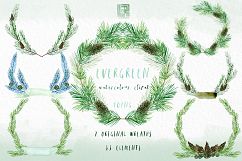 Evergreen. Watercolor clipart Product Image 5