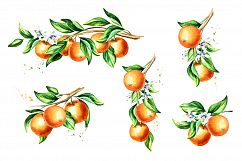 Natural Orange juice. Watercolor Product Image 4