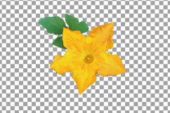 Watercolor pumpkin clip art pack, Pumpkin plant and flowers Product Image 11