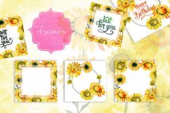 Wildflower yellow chamomile PNG watercolor set Product Image 9
