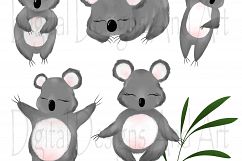 Koala clipart Product Image 4