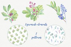 Watercolor leaves, berries, flowers Product Image 6