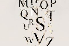 EPHEMERAL contemporary watercolor design set Product Image 16