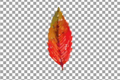 Autumn leafs watercolor clip art pack, watercolor fall frame Product Image 12