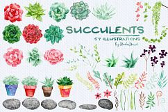 Succulents Watercolor Illustrations, Patterns &amp; Frames Product Image 2