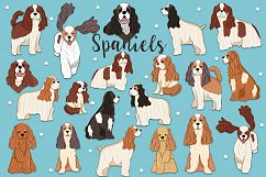 Spaniels Product Image 1