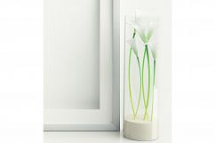 Styled Stock Photography, Frame Mockup, white Frame mockup, Styled Photography Mockup, stock photo Product Image 3
