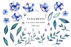 Floral Watercolor Bundle Product Image 15